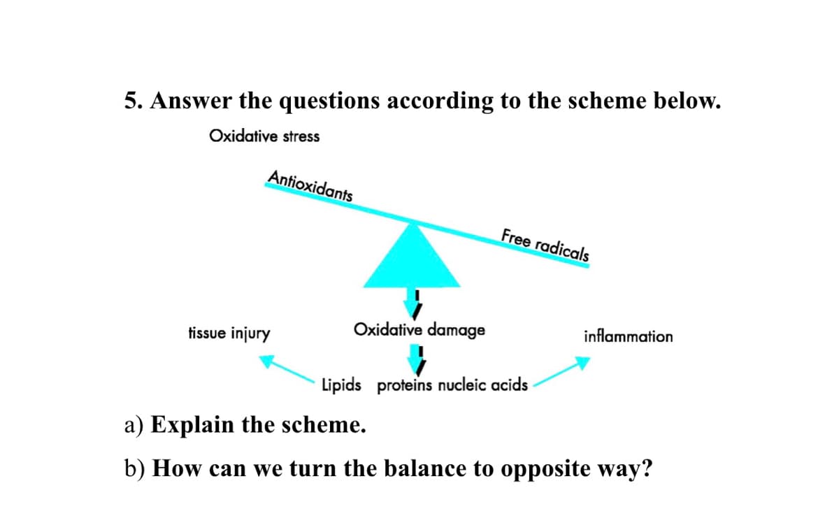 5. Answer the questions according to the scheme below.
Oxidative stress
Antioxidants
tissue injury
Free radicals
Oxidative damage
↓
Lipids proteins nucleic acids
inflammation
a) Explain the scheme.
b) How can we turn the balance to opposite way?