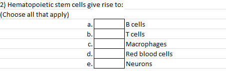2) Hematopoietic stem cells give rise to:
(Choose all that apply)
|В
T cells
a.
B cells
b.
Macrophages
Red blood cells
С.
d.
е.
Neurons
