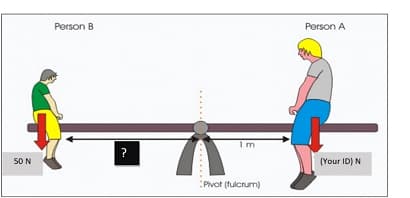 Person B
Person A
Im
?
50 N
(Your ID) N
Pivot (fulcrum)
