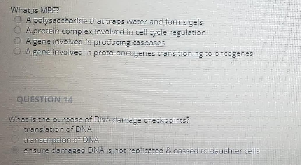 What,is MPF?
A polysaccharide that traps water and forms gels
A protein complex involved in cell cycle regulation
A gene involved in producing caspases
A gene involved in proto-oncogenes transitioning to oncogenes
QUESTION 14
What is the purpose of DNA damage checkpoints?
translation of DNA
transeription of DNA
ensure damaeed DNA is not replicated & passed to daughter cells
