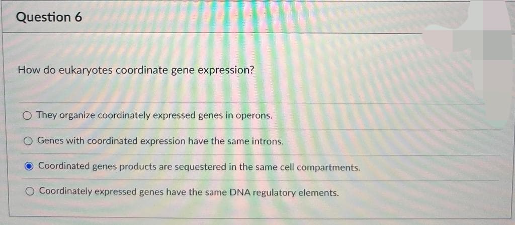 Question 6
How do eukaryotes coordinate gene expression?
They organize coordinately expressed genes in operons.
Genes with coordinated expression have the same introns.
O Coordinated genes products are sequestered in the same cell compartments.
O Coordinately expressed genes have the same DNA regulatory elements.