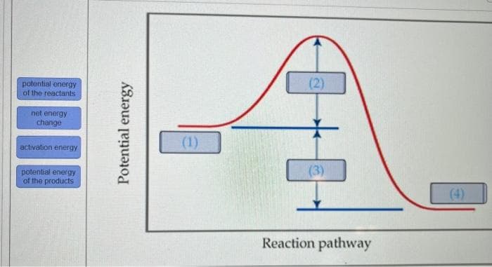 potential onergy
of the reactants
(2)
net energy
change
(1)
activation energy
potential energy
of the products
(3)
(4)
Reaction pathway
Potential energy
