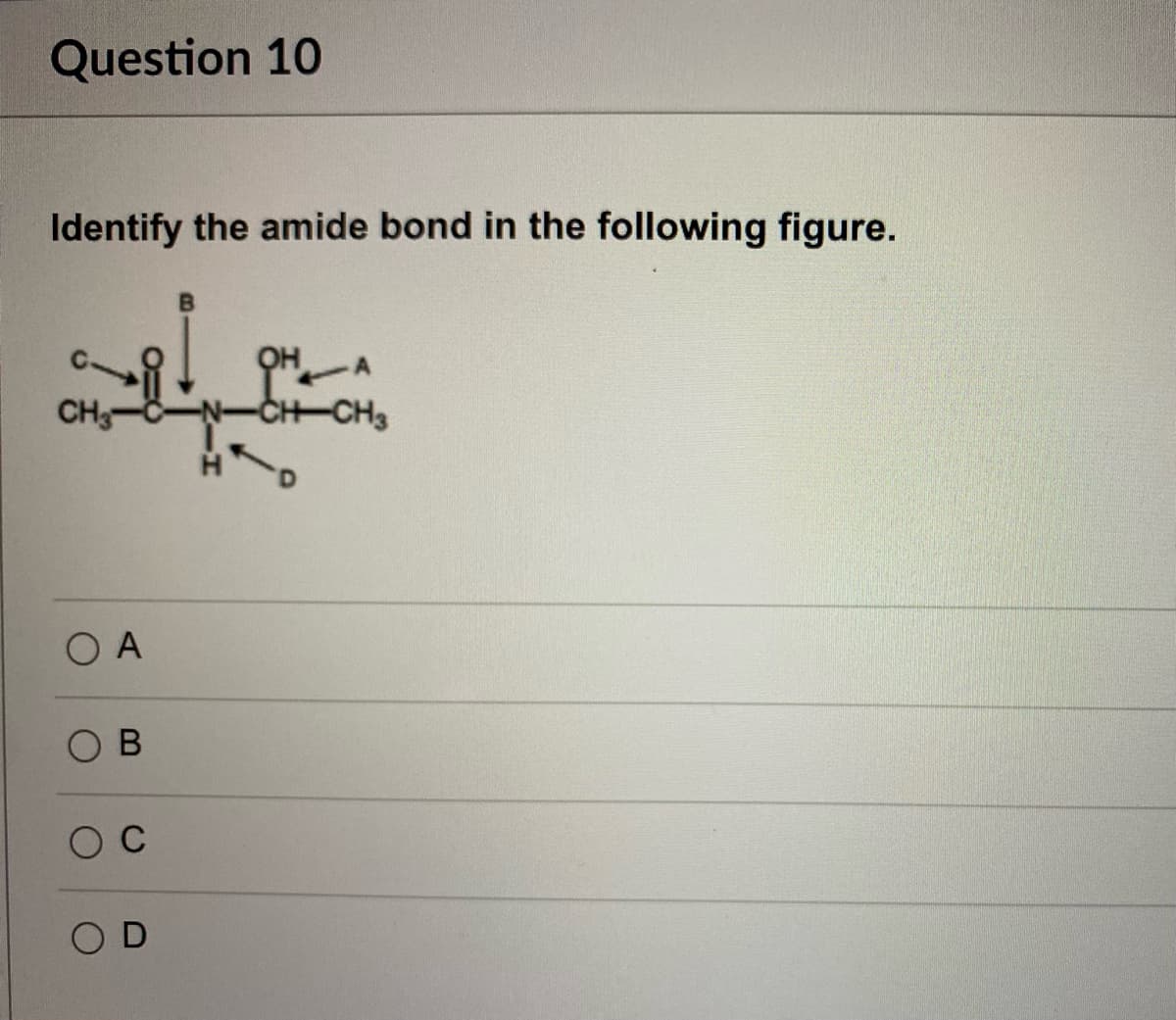 Question 10
Identify the amide bond in the following figure.
CH
CH CH3
O A
O B
C
O D

