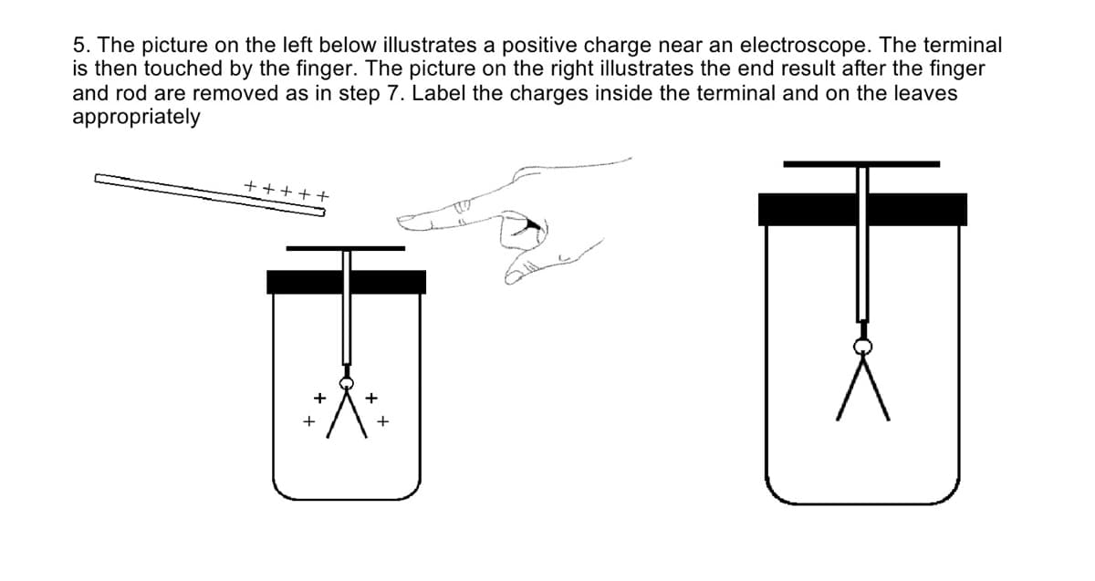 5. The picture on the left below illustrates a positive charge near an electroscope. The terminal
is then touched by the finger. The picture on the right illustrates the end result after the finger
and rod are removed as in step 7. Label the charges inside the terminal and on the leaves
appropriately
+++ ++
+
+
+
