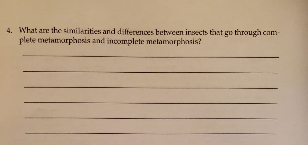 4. What are the similarities and differences between insects that go through com-
plete metamorphosis and incomplete metamorphosis?
