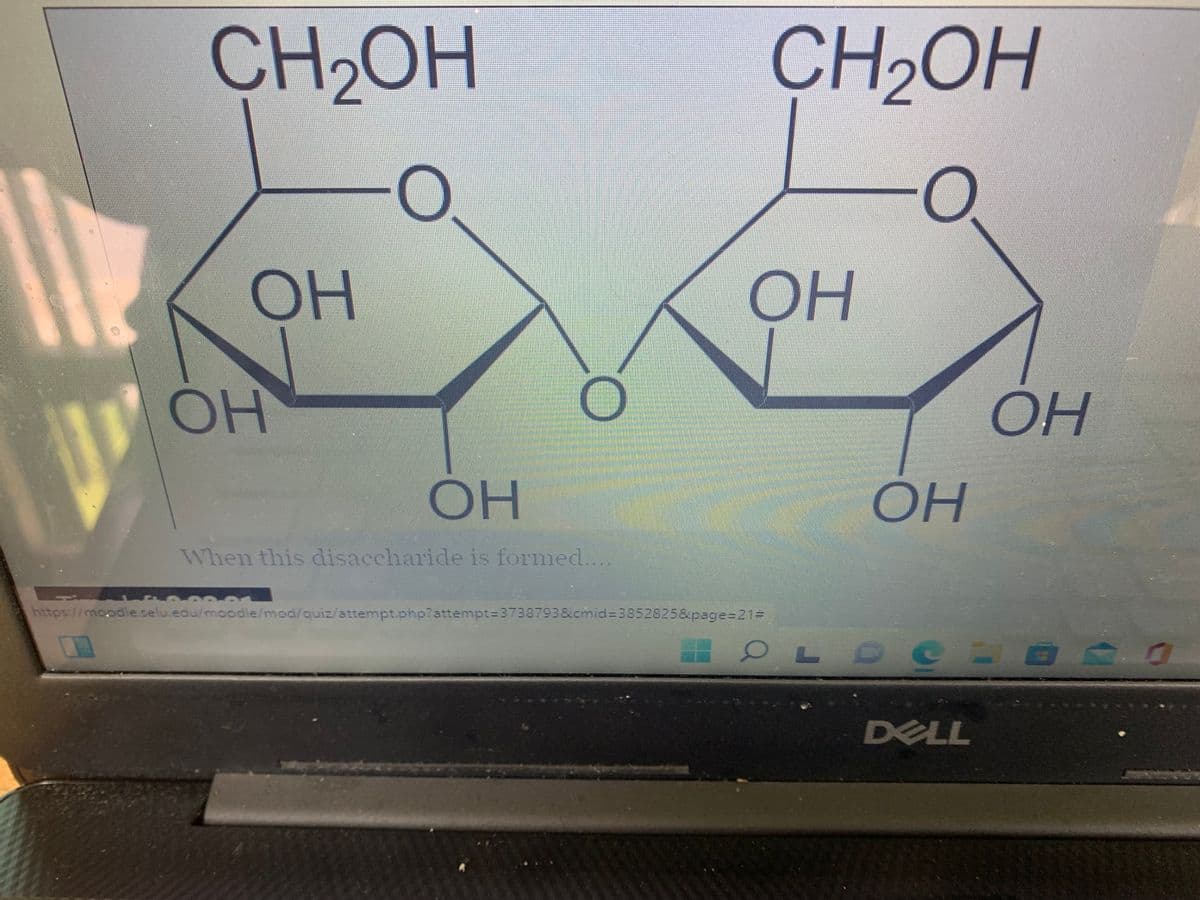 CH2OH
CH2OH
OH
OH
OH
OH
OH
When this disaccharide is formed....
https://mcodle selu.edu/moodie/mod/quiz/attempt.php?attempt=3738793&cmid%3D3852825&page=21=
OL O C E O
DELL
