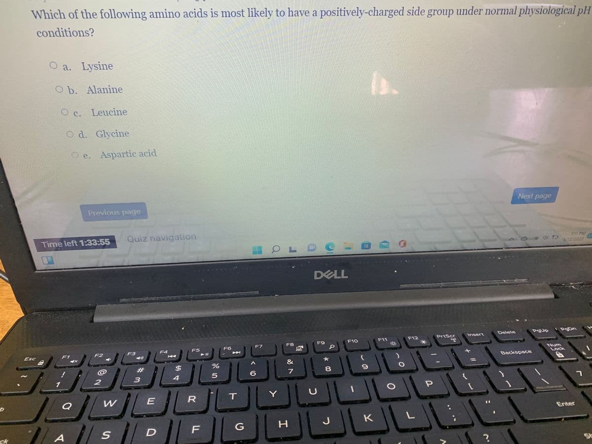 Which of the following amino acids is most likely to have a positively-charged side group under normal physiological pH
conditions?
O a. Lysine
O b. Alanine
O c. Leucine
O d. Glycine
O e. Aspartic acid
Next page
Previous page
Time left 1:33:55
Quiz navigation
271 PM
今 D
572 2022
DELL
Delete
PgUp
PgDn
F12
PrtScr
Insert
F9
F10
F11
F7
F8
F5
F6
F2
F3
F4
Esc
F1
Backspace
&
%
%3D
@
#
8
6
7
3
1
Y
Enter
J
K
A s D
F
ck
St
