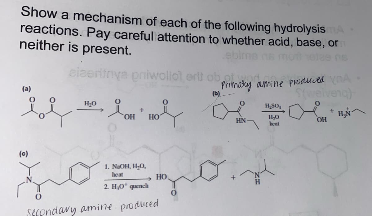 Show a mechanism of each of the following hydrolysis A
reactions. Pay careful attention to whether acid, base, or
neither is present.
ebilm
06
eiseritnya priwollot erit ob primary amine p
of
(b)
H₂O
Held of BOL-
H₂SO4
H₂O
HN
heat
(c)
+
OH HO
jo por
1. NaOH, H₂O,
heat
2. H₂O* quench
Secondary amine produced
HO.
H
produced A
S(weivena)
OH
+
H₂N^