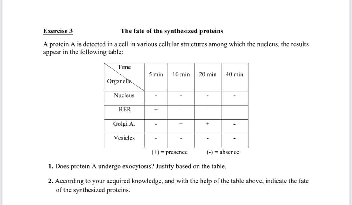 Exercise 3
The fate of the synthesized proteins
A protein A is detected in a cell in various cellular structures among which the nucleus, the results
appear in the following table:
Time
5 min
10 min
20 min
40 min
Organelte
Nucleus
RER
Golgi A.
Vesicles
(+) = presence
(-) = absence
1. Does protein A undergo exocytosis? Justify based on the table.
2. According to your acquired knowledge, and with the help of the table above, indicate the fate
of the synthesized proteins.
