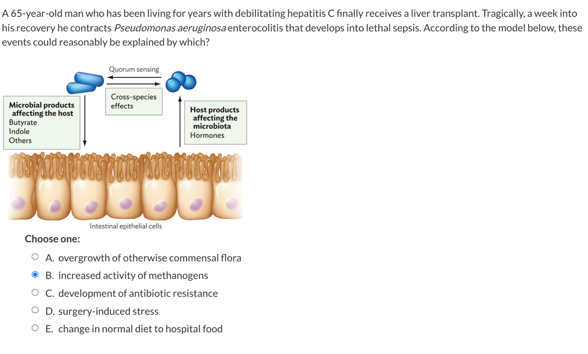 A 65-year-old man who has been living for years with debilitating hepatitis C finally receives a liver transplant. Tragically, a week into
his recovery he contracts Pseudomonas aeruginosa enterocolitis that develops into lethal sepsis. According to the model below, these
events could reasonably be explained by which?
Quorum sensing
Cross-species
effects
Microbial products
affecting the host
Butyrate
Indole
Others
Host products
affecting the
microbiota
Hormones
Intestinal epithelial cells
Choose one:
O A. overgrowth of otherwise commensal flora
B. increased activity of methanogens
O C. development of antibiotic resistance
D. surgery-induced stress
O E. change in normal diet to hospital food

