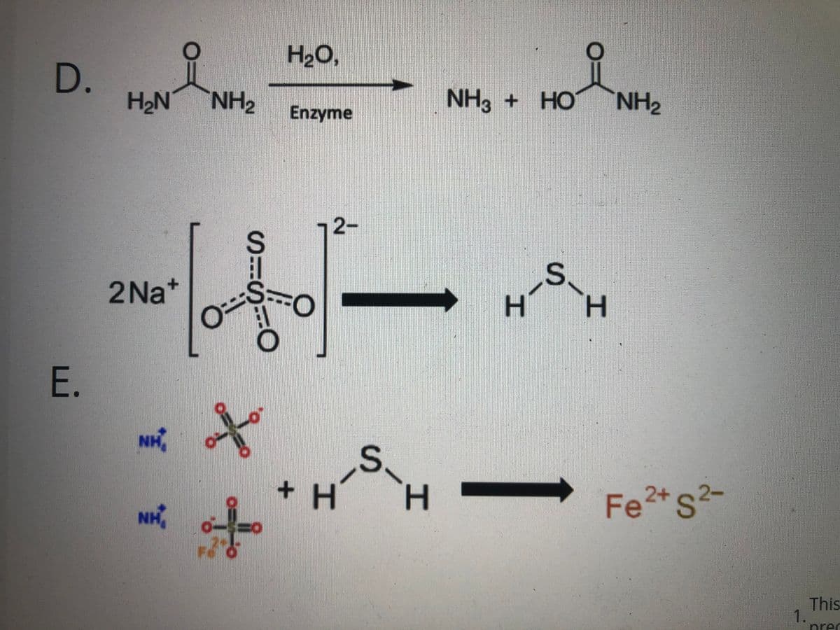H2O,
D.
H2N
NH2
NH3 + HO
NH2
Enzyme
2-
S.
H `H
2 Na+
E.
NH,
S-
Fe2+ s2-
NH,
This
1.
prec
