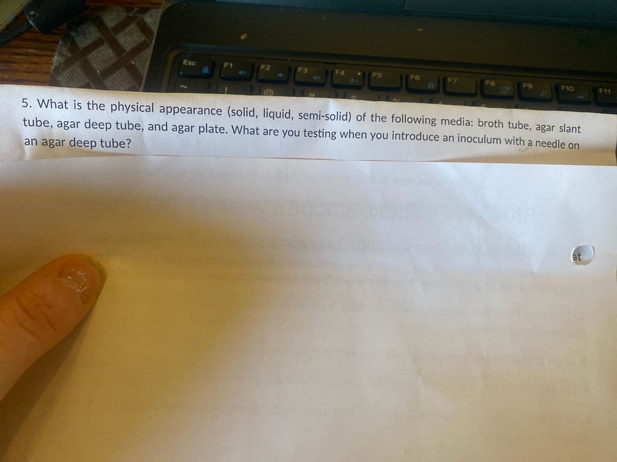 Esc
F1
F2
F3
F4
F5
F6
F7
F8
F9
F10
F11
40
%23
5. What is the physical appearance (solid, liquid, semi-solid) of the following media: broth tube, agar slant
tube, agar deep tube, and agar plate. What are you testing when you introduce an inoculum with a needle on
an agar deep tube?
at
