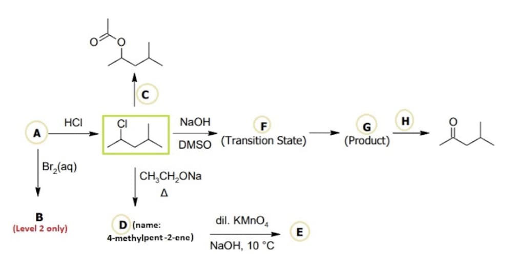 HCI
CI
NaOH
H
F
G
A
DMSO (Transition State)
(Product)
Br,(aq)
CH,CH,ONa
Δ
dil. KMNO,
D (name:
4-methylpent -2-ene)
(Level 2 only)
E
NaOH, 10 °C
