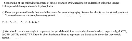 Sequencing of the following fragment of single-stranded DNA needs to be undertaken using the Sanger
technique of dideoxynucleoside triphosphates.
a) Draw the pattern of bands that would be seen after autoradiography. Remember this is not the strand you want.
You need to make the complementary strand
SC-C-A-C-C-T-A-G-C-C-G-G3'
b) You should draw a rectangle to represent the gel slab with four vertical columns headed, respectively, ddCTP,
ddGTP, ddATP, and ddTTP. Draw in short horizontal lines to represent the bands as in the order they would
appear.