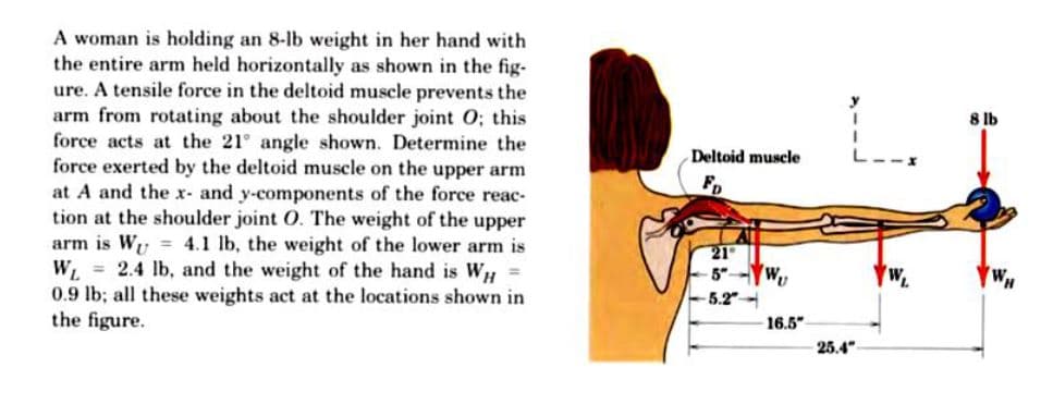 A woman is holding an 8-lb weight in her hand with
the entire arm held horizontally as shown in the fig-
ure. A tensile force in the deltoid muscle prevents the
arm from rotating about the shoulder joint O; this
force acts at the 21 angle shown. Determine the
force exerted by the deltoid muscle on the upper arm
at A and the x- and y-components of the force reac-
tion at the shoulder joint O. The weight of the upper
arm is Wy 4.1 lb, the weight of the lower arm is
W. = 2.4 lb, and the weight of the hand is WH =
0.9 lb; all these weights act at the locations shown in
the figure.
8 lb
Deltoid muscle
5-YW
5.2
WH
16.5"
25.4"
