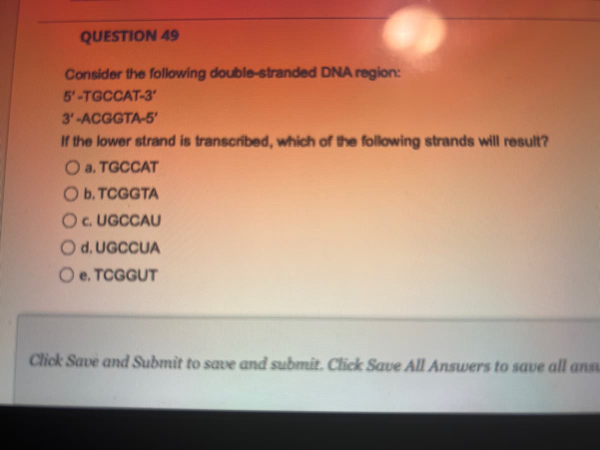 QUESTION 49
Consider the following double-stranded DNA region:
TC CỦA T
3'-ACGGTA-5'
If the lower strand is transcribed, which of the following strands will result?
O a. TGCCAT
O b. TCGGTA
Oc. UGCCAU
d. UGCCUA
Oe. TCGGUT
Click Save and Submit to save and submit. Click Save All Answers to save all anst