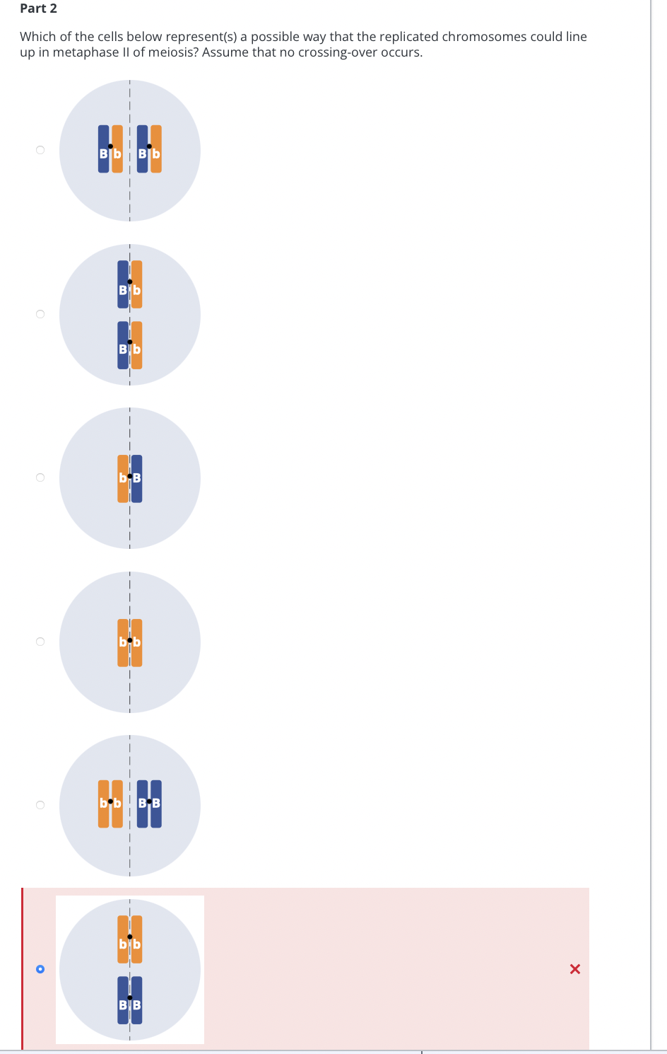 Part 2
Which of the cells below represent(s) a possible way that the replicated chromosomes could line
up in metaphase Il of meiosis? Assume that no crossing-over occurs.
ВЬ ВЬ
Bib
ВІЬ
b,B
S
bь! В в
b b
BB
X