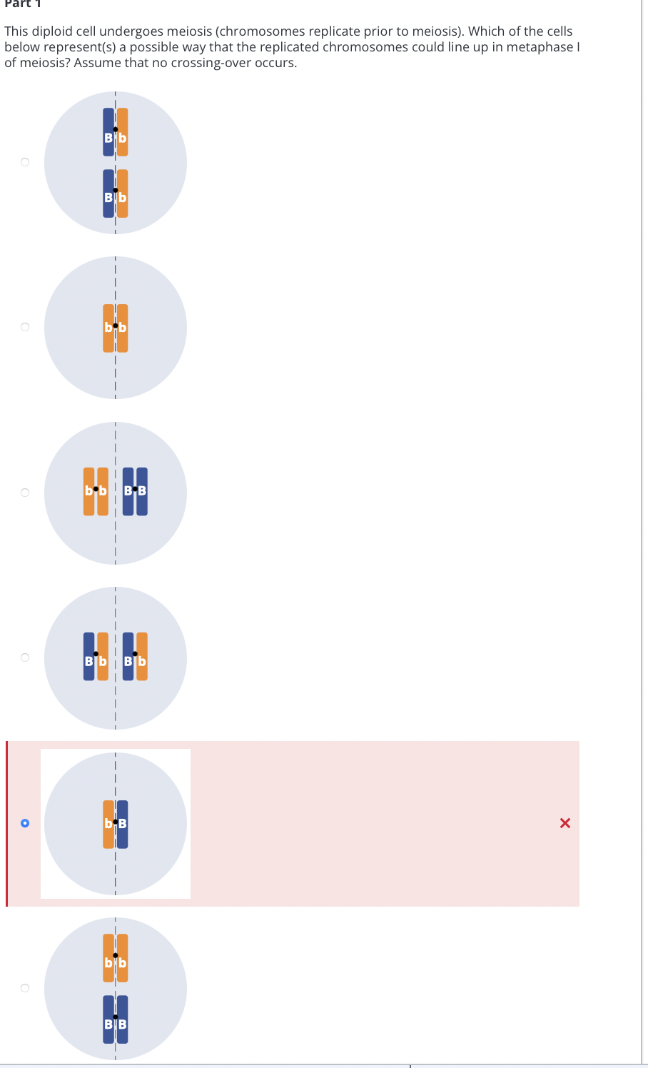 Part 1
This diploid cell undergoes meiosis (chromosomes replicate prior to meiosis). Which of the cells
below represent(s) a possible way that the replicated chromosomes could line up in metaphase I
of meiosis? Assume that no crossing-over occurs.
O
Bb
Bib
MP
bb BB
AF
Bb Bb
bB
bib
BB
X