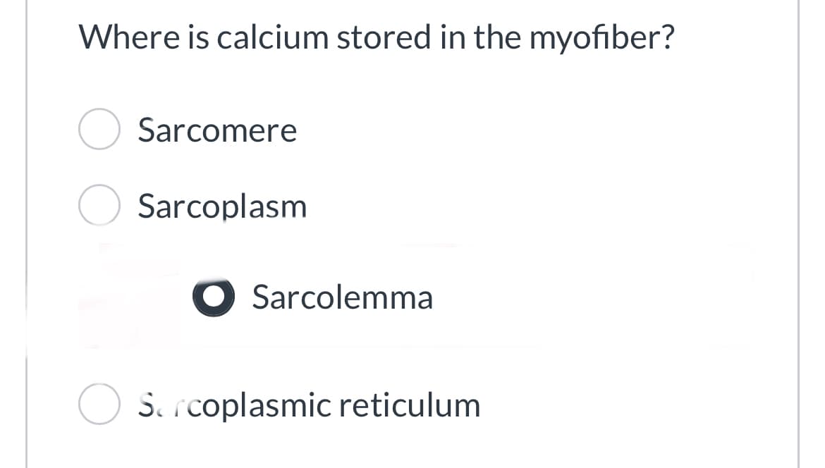 Where is calcium stored in the myofiber?
Sarcomere
Sarcoplasm
Sarcolemma
Sarcoplasmic reticulum