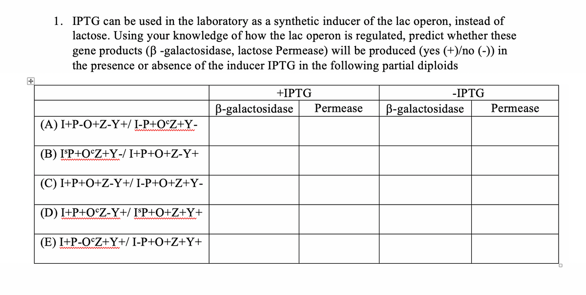 1. IPTG can be used in the laboratory as a synthetic inducer of the lac operon, instead of
lactose. Using your knowledge of how the lac operon is regulated, predict whether these
gene products (B -galactosidase, lactose Permease) will be produced (yes (+)/no (-)) in
the presence or absence of the inducer IPTG in the following partial diploids
+IPTG
- ΙPTG
B-galactosidase
Permease
B-galactosidase
Permease
(A) I+P-O+Z-Y+/ I-P+O°Z+Y-
(B) I'P+O°Z+Y-/ I+P+O+Z-Y+
w
(C) I+P+O+Z-Y+/ I-P+O+Z+Y-
(D) I+P+O°Z-Y+/ I°P+O+Z+Y+
(E) I+P-O°Z+Y+/ I-P+O+Z+Y+
