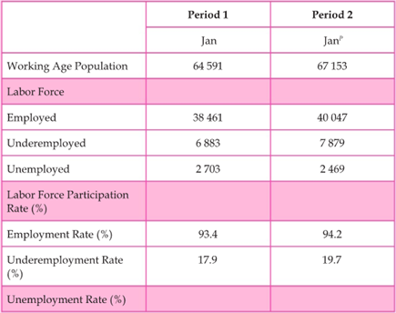Period 1
Period 2
Jan
Jan
Working Age Population
64 591
67 153
Labor Force
Employed
38 461
40 047
Underemployed
6 883
7 879
Unemployed
2 703
2 469
Labor Force Participation
Rate (%)
Employment Rate (%)
93.4
94.2
Underemployment Rate
| (%)
17.9
19.7
Unemployment Rate (%)

