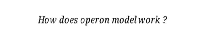 How does operon model work ?
