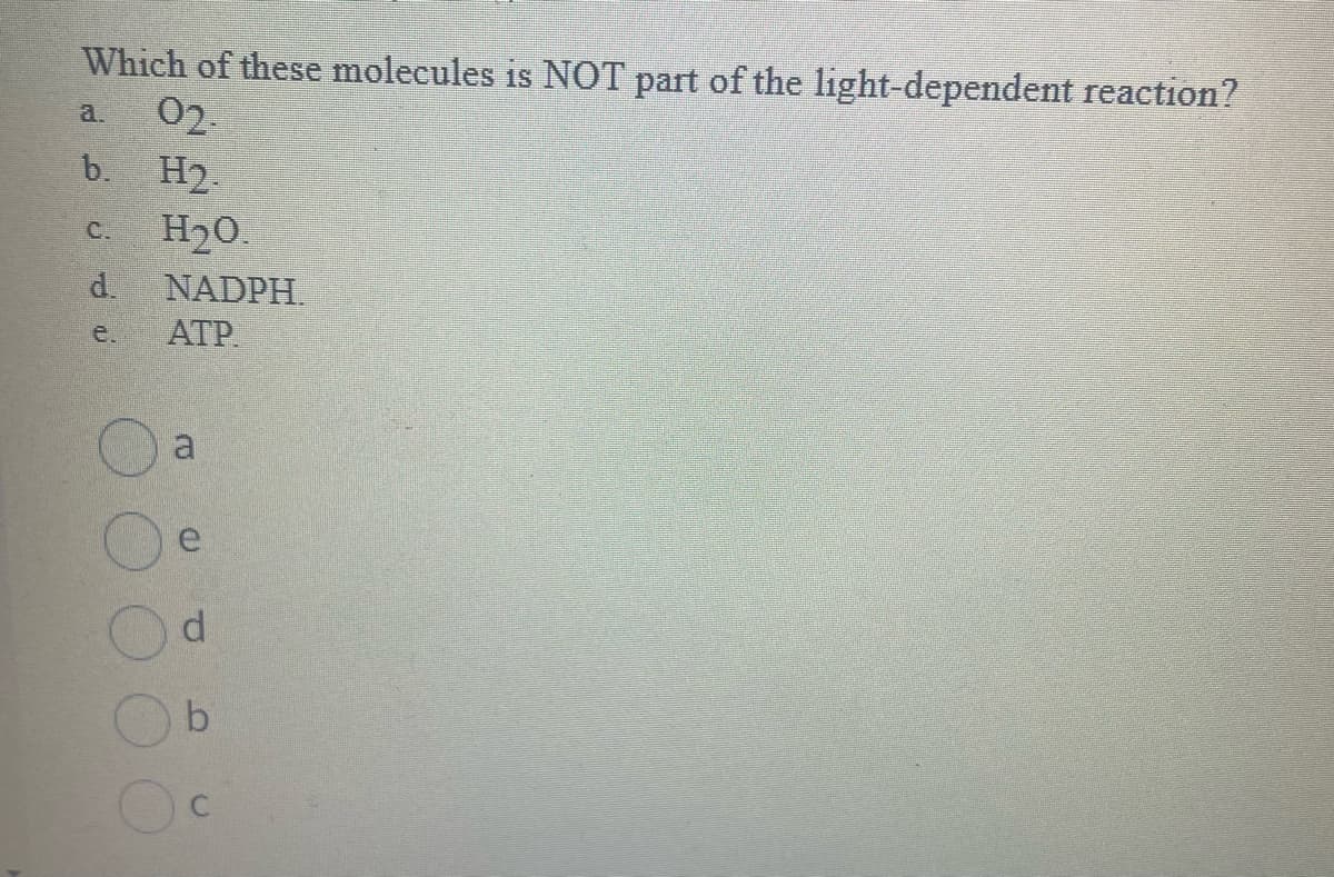 Which of these molecules is NOT part of the light-dependent reaction?
02.
b.
H₂.
H₂O.
C.
d. NADPH
e.
ATP.
a
(D
d
b