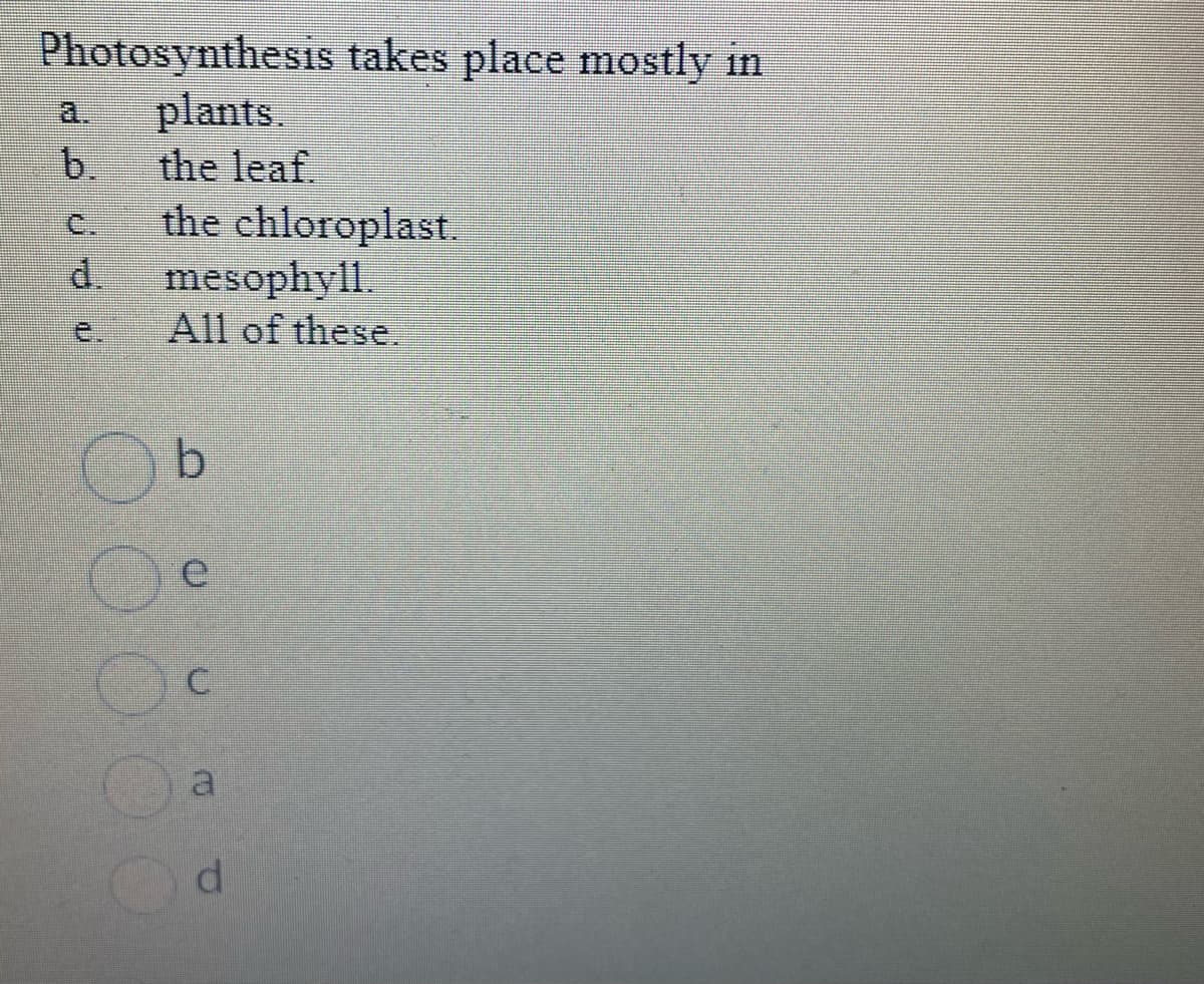 Photosynthesis takes place mostly in
a. plants.
the leaf
the chloroplast.
mesophyll.
All of these.
d
b
e
C
a
d