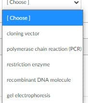 [ Choose
[Choose )
cloning vector
polymerase chain reaction (PCR)
restriction enzyme
recombinant DNA molecule
gel electrophoresis
