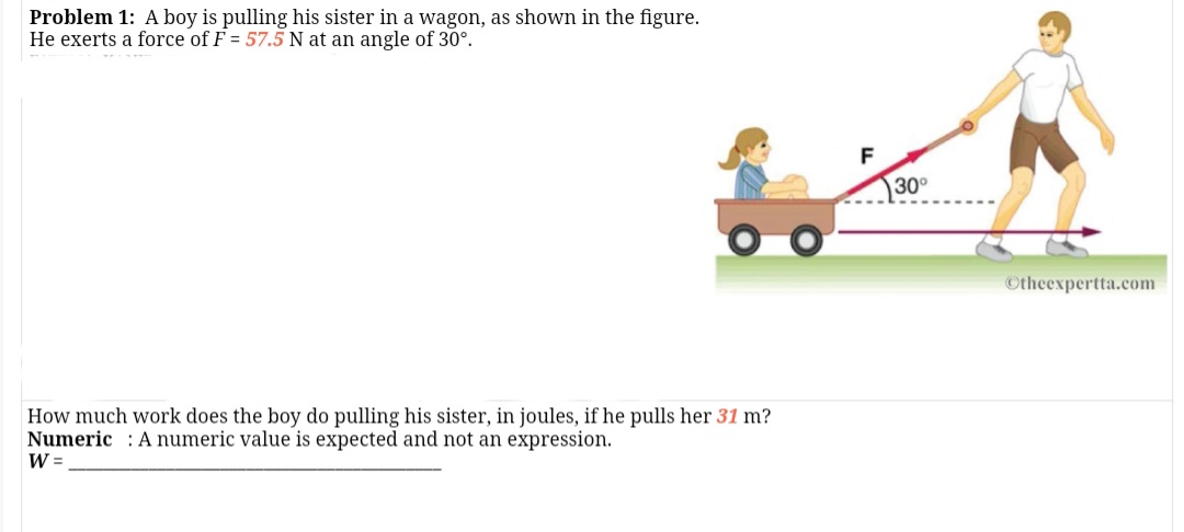 Problem 1: A boy is pulling his sister in a wagon, as shown in the figure.
He exerts a force of F = 57.5 N at an angle of 30°.
F
30°
Otheexpertta.com
How much work does the boy do pulling his sister, in joules, if he pulls her 31 m?
Numeric : A numeric value is expected and not an expression.
W =
