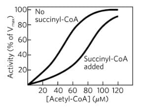 Activity (% of Vmax)
100F No
80
60
40
20
I
succinyl-CoA
Succinyl-CoA
added
1
20 40 60 80 100 120
[Acetyl-CoA] (um)