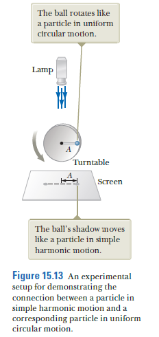 The ball rotates like
a particle in uniform
circular motion.
Lamp
Turntable
Screen
The ball's shadow moves
like a particle in simple
harmonic motion.
Figure 15.13 An experimental
setup for demonstrating the
connection between a particle in
simple harmonic motion and a
corresponding particle in uniform
circular motion.
