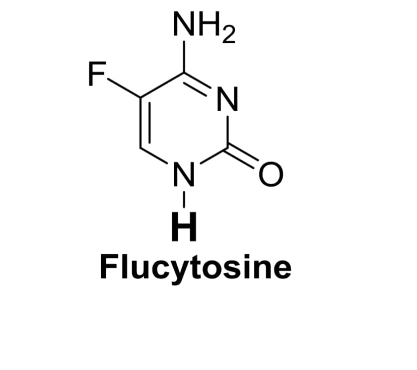 F
NH₂
N
Z-I
FO
H
Flucytosine