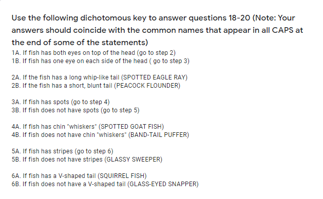 Use the following dichotomous key to answer questions 18-20 (Note: Your
answers should coincide with the common names that appear in all CAPS at
the end of some of the statements)
1A. If fish has both eyes on top of the head (go to step 2)
1B. If fish has one eye on each side of the head ( go to step 3)
2A. If the fish has a long whip-like tail (SPOTTED EAGLE RAY)
2B. If the fish has a short, blunt tail (PEACOCK FLOUNDER)
3A. If fish has spots (go to step 4)
3B. If fish does not have spots (go to step 5)
4A. If fish has chin "whiskers" (SPOTTED GOAT FISH)
4B. If fish does not have chin "whiskers" (BAND-TAIL PUFFER)
5A. If fish has stripes (go to step 6)
5B. If fish does not have stripes (GLASSY SWEEPER)
6A. If fish has a V-shaped tail (SQUIRREL FISH)
6B. If fish does not have a V-shaped tail (GLASS-EYED SNAPPER)
