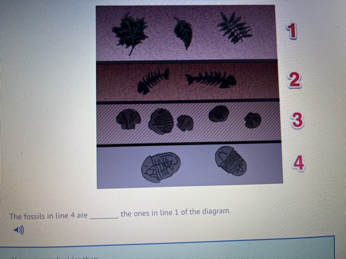 The fossils in line 4 are
-)))
4
O
JALE
Doc
the ones in line 1 of the diagram.
1
2
3
4