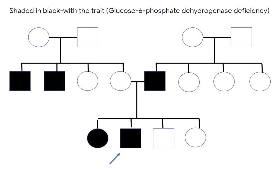 Shaded in black-with the trait (Glucose-6-phosphate dehydrogenase deficiency)
