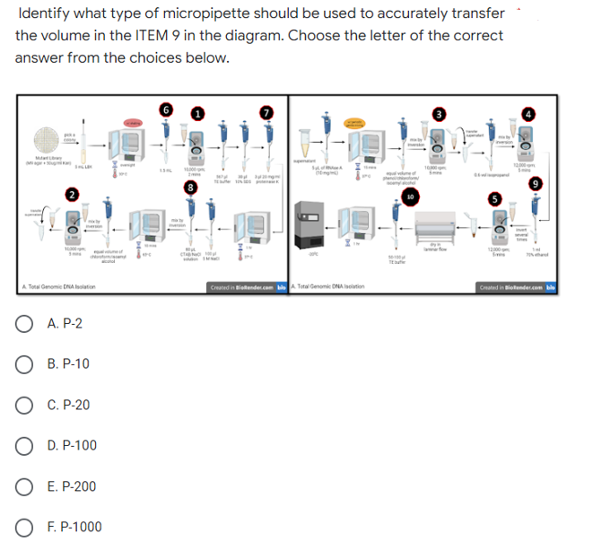 Identify what type of micropipette should be used to accurately transfer
the volume in the ITEM 9 in the diagram. Choose the letter of the correct
answer from the choices below.
H
May
S
10300pm
que of
Sm
73 320mm
0-100
Created in Bietender.com bloA Total Genomic DNA action
10
A Total Genomic DNA Isolation
A. P-2
B. P-10
C. P-20
O D. P-100
E. P-200
F. P-1000
CA
12000 s
Created in BioRender.com ble