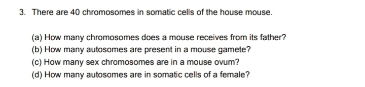 3. There are 40 chromosomes in somatic cells of the house mouse.
(a) How many chromosomes does a mouse receives from its father?
(b) How many autosomes are present in a mouse gamete?
(c) How many sex chromosomes are in a mouse ovum?
(d) How many autosomes are in somatic cells of a female?
