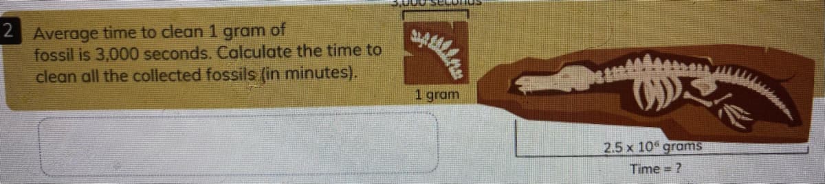 2 Average time to clean 1 gram of
fossil is 3,000 seconds. Calculate the time to
clean all the collected fossils (in minutes).
1 gram
2.5 x 10 grams
Time = ?
