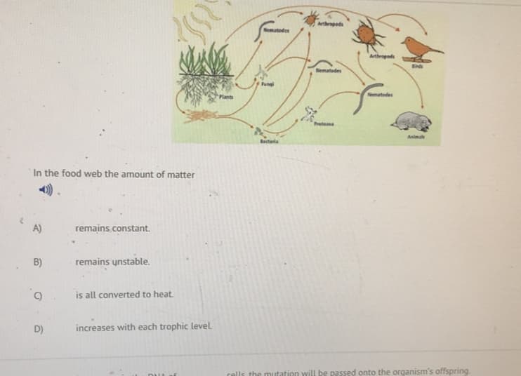 Arthrepeds
Nematodes
Athropods
Binds
Nematodes
Plants
Pretea
Aimal
Bacteria
In the food web the amount of matter
A)
remains constant.
B)
remains unstable.
is all converted to heat.
D)
increases with each trophic level
cells the mitation will be passed onto the organism's offspring

