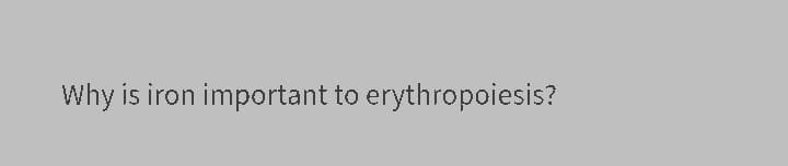 Why is iron important to erythropoiesis?
