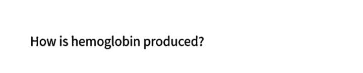 How is hemoglobin produced?
