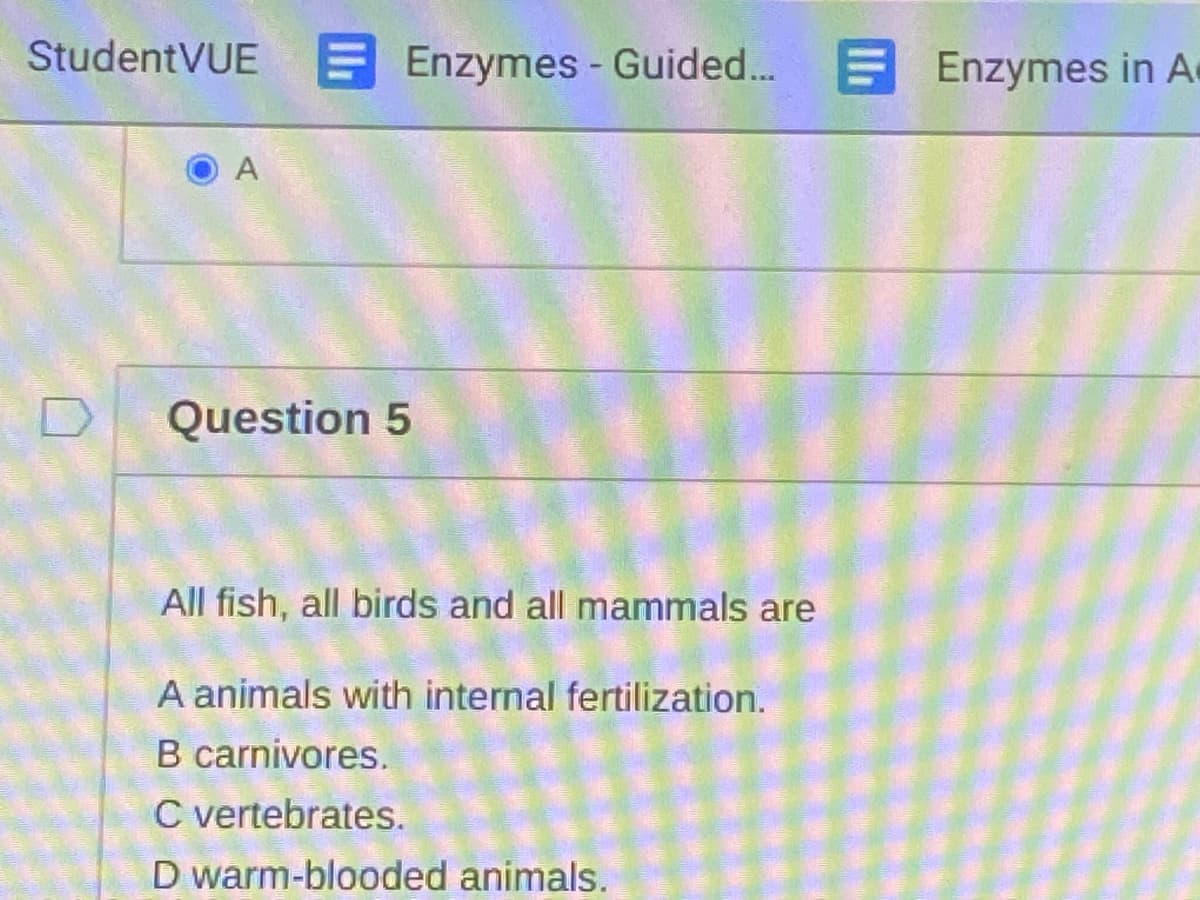 StudentVUE Enzymes - Guided... E
Enzymes in A
A
Question 5
All fish, all birds and all mammals are
A animals with internal fertilization.
B carnivores.
C vertebrates.
D warm-blooded animals.
