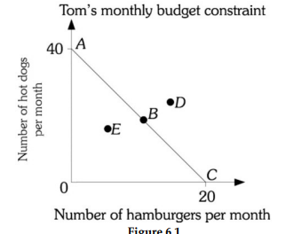 Tom's monthly budget constraint
40 A
•D
B
•E
20
Number of hamburgers per month
Figure 61
Number of hot dogs
per month
