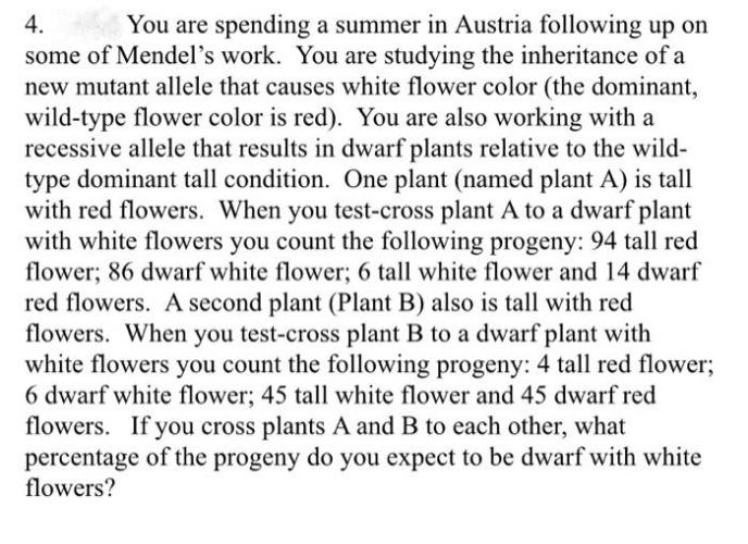 4.
You are spending a summer in Austria following up on
some of Mendel's work. You are studying the inheritance of a
new mutant allele that causes white flower color (the dominant,
wild-type flower color is red). You are also working with a
recessive allele that results in dwarf plants relative to the wild-
type dominant tall condition. One plant (named plant A) is tall
with red flowers. When you test-cross plant A to a dwarf plant
with white flowers you count the following progeny: 94 tall red
flower; 86 dwarf white flower; 6 tall white flower and 14 dwarf
red flowers. A second plant (Plant B) also is tall with red
flowers. When you test-cross plant B to a dwarf plant with
white flowers you count the following progeny: 4 tall red flower;
6 dwarf white flower; 45 tall white flower and 45 dwarf red
flowers. If you cross plants A and B to each other, what
percentage of the progeny do you expect to be dwarf with white
flowers?
