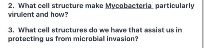 2. What cell structure make Mycobacteria particularly
virulent and how?
3. What cell structures do we have that assist us in
protecting us from microbial invasion?
