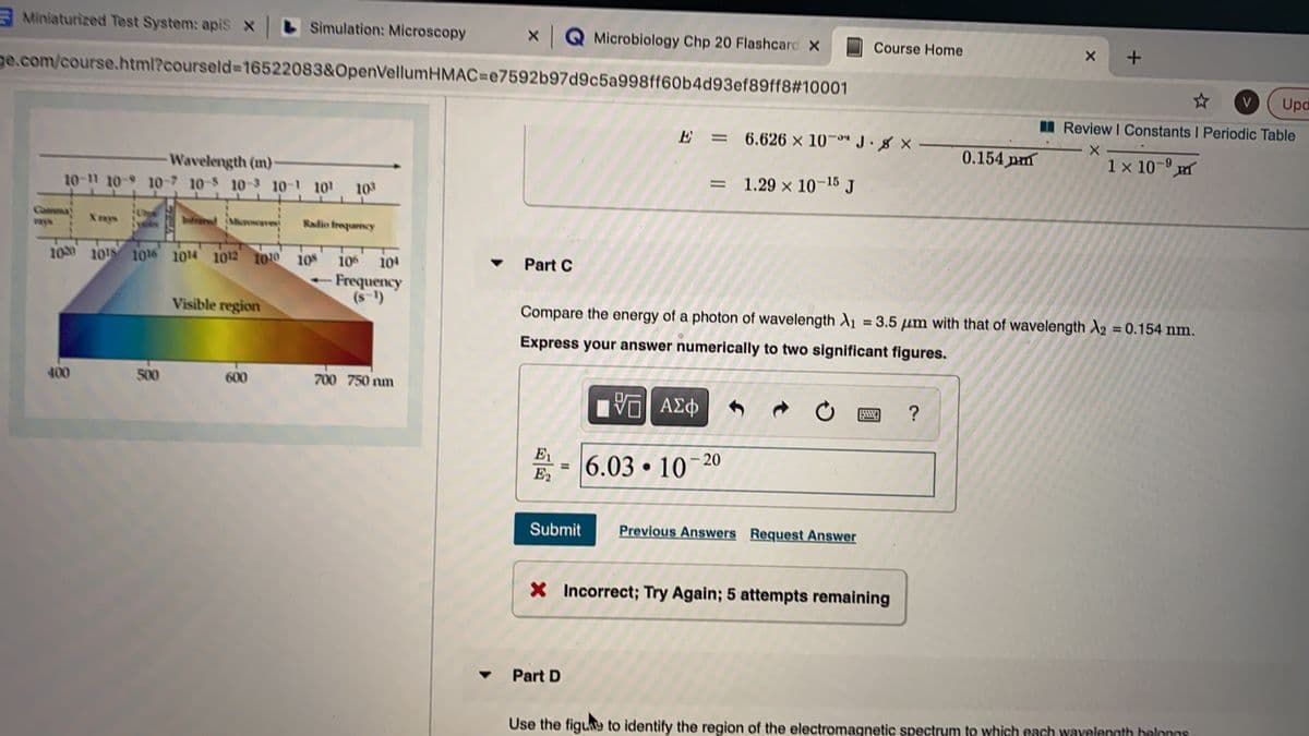 Miniaturized Test System: apiS X
LSimulation: Microscopy
XQ Microbiology Chp 20 Flashcard X
Course Home
ge.com/course.html?courseld%3=16522083&OpenVellumHMAC=e7592b97d9c5a998ff60b4d93ef89ff8#10001
V
Upd
I Review I Constants I Periodic Table
E = 6.626 x 10-0" J.8 X
0.154 pm
X -
1 x 10-9 m
Wavelength (m)
10-11 10-9 1o-7 10-5 10-3 10-1 101
= 1.29 x 10-15 J
103
Gamma
ways
Intrared Mice
Xrays
वा
Radio frequency
100 1018 1016 1014 1012 1010 10S
106
104
Part C
- Frequency
(s-1)
Visible region
Compare the energy of a photon of wavelength A1 = 3.5 um with that of wavelength A2 = 0.154 nm.
%3D
%3D
Express your answer numerically to two significant figures.
400
500
600
700 750 nm
E1
%3D
E2
- 20
6.03 10
Submit
Previous Answers Request Answer
X Incorrect; Try Again; 5 attempts remaining
Part D
Use the figue to identify the region of the electromagnetic spectrum to which each wayelength belongs
