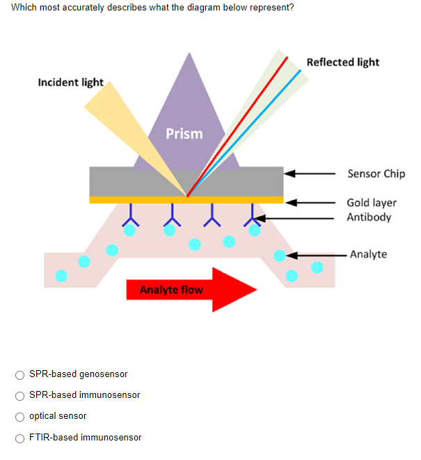 Which most accurately describes what the diagram below represent?
Reflected light
Incident light
Prism
Sensor Chip
人人人
Gold layer
Antibody
- Analyte
Analyte flow
SPR-based genosensor
SPR-based immunosensor
optical sensor
FTIR-based immunosensor
