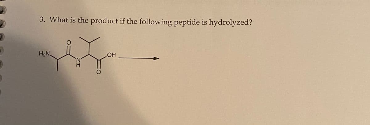 3. What is the product if the following peptide is hydrolyzed?
H₂N.
ZH
O
OH