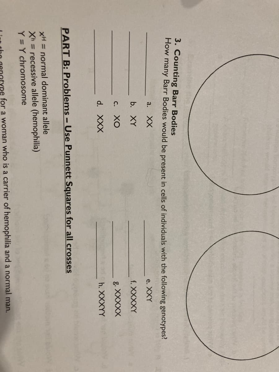 3. Counting Barr Bodies
How many Barr Bodies would be present in cells of individuals with the following genotypes?
XX
e. XXY
b. XY
f. XXXXY
c. XO
d. XXX
a.
PART B: Problems - Use Punnett Squares for all crosses
xH = normal dominant allele
Xh= recessive allele (hemophilia)
Y = Y chromosome
g. XXXXX
h. XXXYY
pe for a woman who is a carrier of hemophilia and a normal man.